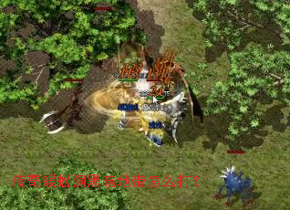 ������򼶴�ڰ��ش���ô��