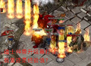 ��ʿ��������������������Ǿ���ֵ��