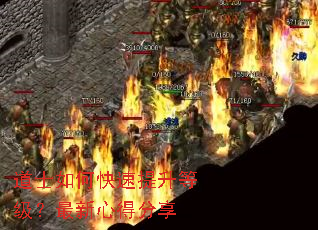 ��ʿ��ο��������ȼ��������ĵ÷���