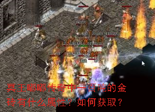 冥王嘟嘟传奇中一百吨的金砖有什么属性?如何获取? 冥王嘟嘟传奇中一百吨的金砖有什么属性?如何获取?