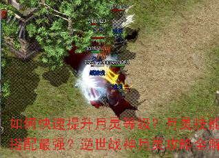 ��ο�����������ȼ������鼼����ô������ǿ������ս�����鹥��ȫ����