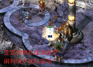 ��̬����˽���ʺϿ���ʱ���ٵ������