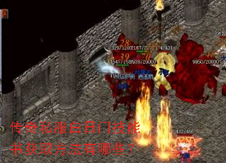 ����˽�������ż������ȡ��������Щ��