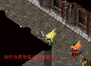 ��ο�������սʿ��Ѫ����