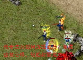 ���淨ʦ���ѡ��������������Щ�ĵã����ɳư�ħ������