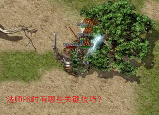 ��ʦPKʱ����Щ�ؼ����ɣ�