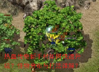 ��Ѫ�������ִ���ο�������������ֲ������⣿