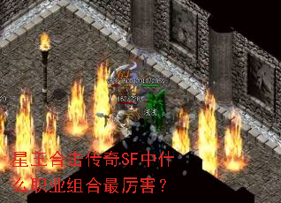 �����ϻ�����SF��ʲôְҵ�����������