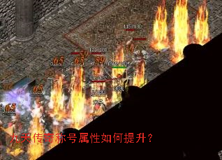 ���촫��ƺ��������������