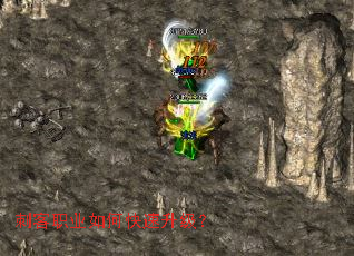 �̿�ְҵ��ο���������