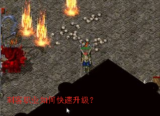 �̿�ְҵ��ο���������