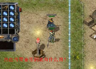 ��Ѫ�����ҵ�����ʲô�ã�