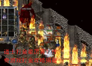 ��ʿ�����������������Ϸ����Խ���