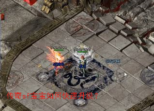 ����sf������ο���������