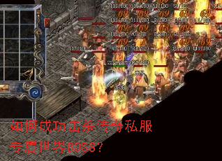 ��γɹ���ɱ����˽��ר������BOSS��