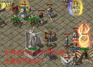 ��γɹ���ɱ����˽��ר������BOSS��