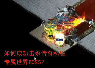 ��γɹ���ɱ����˽��ר������BOSS��