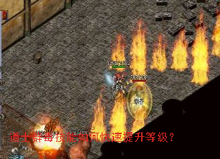 ��ʿȺ��������ο��������ȼ���