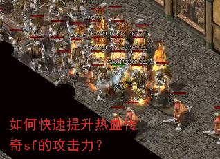 ��ο���������Ѫ����sf�Ĺ�������