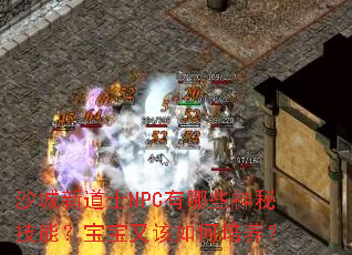 ɳ���µ�ʿNPC����Щ���ؼ��ܣ������ָ����������