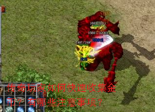 ���������ο����ռ���ң�����Щע�����