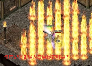 ����þ�����������������