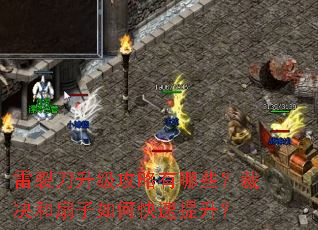 ���ѵ�������������Щ���þ���������ο���������