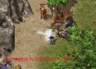 ��ο��ٳ�Ϊ�����������ң�