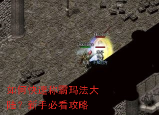 ��ο��ٳư��귨��½�����ֱؿ�����