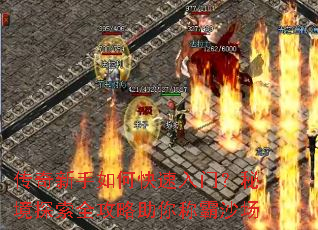 ����������ο������ţ��ؾ�̽��ȫ��������ư�ɳ��