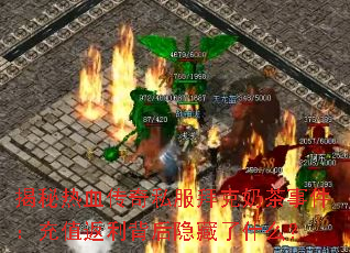 ������Ѫ����˽���ݿ��̲��¼�����ֵ��������������ʲô��