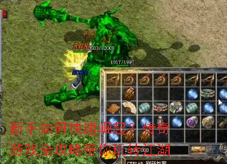 ������ο������𣿴�����Ϸȫ���Դ�����ת����