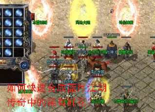 ��ο��ٺϳ����½��������е�ϡ���ʻ���