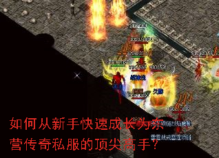 ��δ����ֿ��ٳɳ�Ϊ��Ӫ����˽���Ķ�����֣�