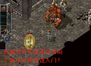 ��Ѫ����˽����սָ�ϣ�������ο������ţ�