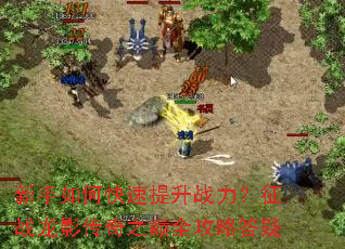 ������ο�������ս������ս��Ӱ����֮��ȫ���Դ���