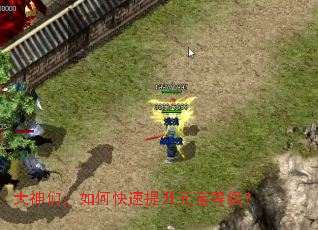 大神们,如何快速提升元宝等级? 大神们,如何快速提升元宝等级?