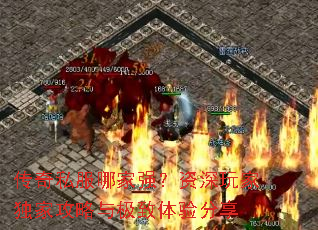 ����˽���ļ�ǿ��������Ҷ��ҹ����뼫���������