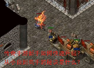 ��������������ο�����������С�׵����ֵ��ؾ���ʲô��