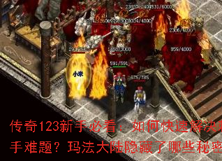 ����123���ֱؿ�����ο��ٽ���������⣿�귨��½��������Щ���ܣ�