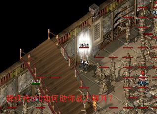 ������NPC�������ս�������