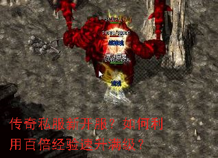 ����˽���¿�����������ðٱ���������������