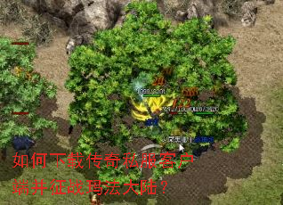 ������ش���˽���ͻ��˲���ս�귨��½��