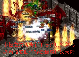 小怪复古传奇新手怎么玩?菜鸟必看攻略助你轻松称霸玛法大陆 小怪复古传奇新手怎么玩?菜鸟必看攻略助你轻松称霸玛法大陆