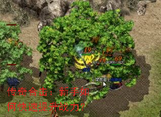 传奇合击:新手如何快速提升战力? 传奇合击:新手如何快速提升战力?