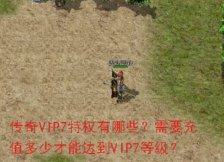 ����VIP7��Ȩ����Щ����Ҫ��ֵ���ٲ��ܴﵽVIP7�ȼ���