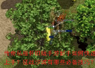 传奇私服怀旧版手游新手如何快速上手?征战沙城有哪些必备技巧? 传奇私服怀旧版手游新手如何快速上手?征战沙城有哪些必备技巧?