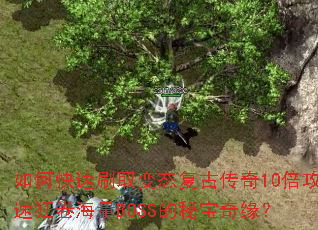 如何快速刷取变态复古传奇10倍攻速狂卷海量BOSS的秘宝奇缘? 如何快速刷取变态复古传奇10倍攻速狂卷海量BOSS的秘宝奇缘?