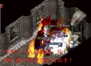 传奇1.76入门指南:如何从新手快速成长为高手? 传奇1.76入门指南:如何从新手快速成长为高手?