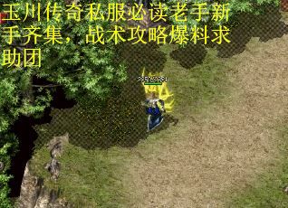 玉川传奇私服必读老手新手齐集，战术攻略爆料求助团